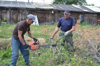 Избавимся от зарослей клена