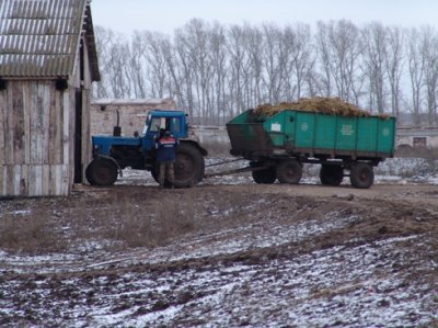 Зимовка – дело ответственное