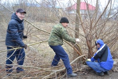 За благоустройство городского парка