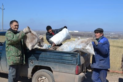 Один день плодотворного труда