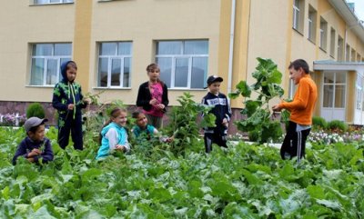 За деньгами – в огород!