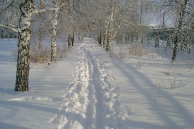 Навострит ли город лыжи?