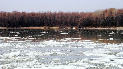 На повестке дня - весна