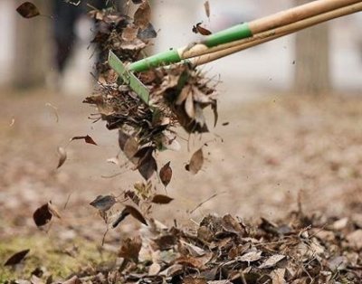 Объявлен экологический месячник