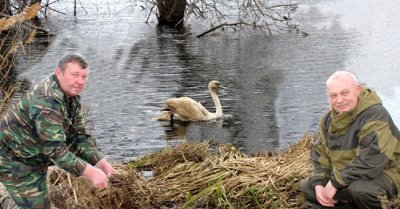 Я птицу свою отпускаю в свободный полет.