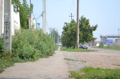 А чертополох у нас круче, чем в Шотландии!