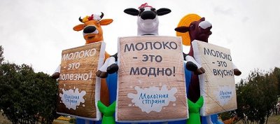 Фестиваль молочная страна